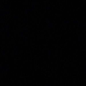 Meet your Posher, Bella